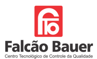 Falcão Bauer